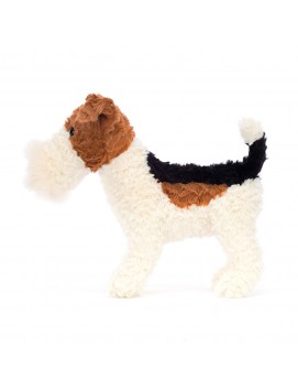 Hector - Fox terrier