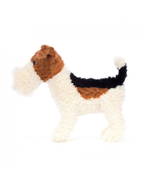 Hector - Fox terrier