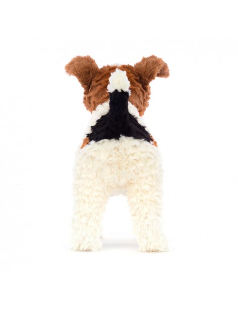 Hector - Fox terrier