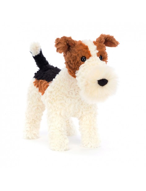 Hector - Fox terrier