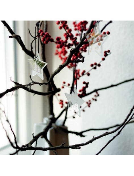 Etoile en verre - Sapins