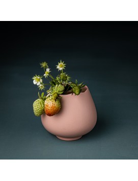 Vase - Cocoon rosé